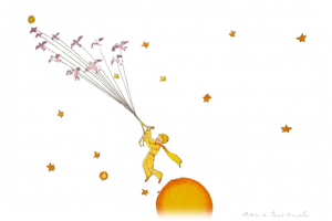 Psicoterapia: Quando e Perché – Psicologa Psicoterapeuta a Padova e Chiampo (VI) - Dott.ssa Noemi Chirico